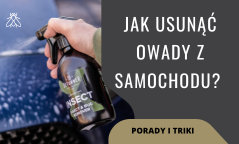 Jak usunąć owady z samochodu? Poradnik i triki